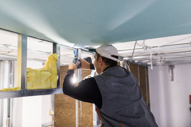 Best Insulation Repair Services  in Castleton On Hudson, NY