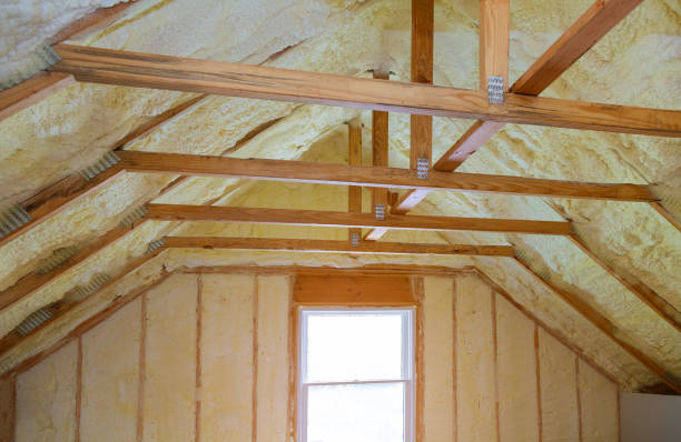 Best Wall Insulation Contractor  in Castleton On Hudson, NY