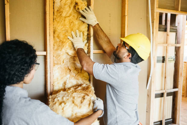 Best Home Insulation Services  in Castleton On Hudson, NY
