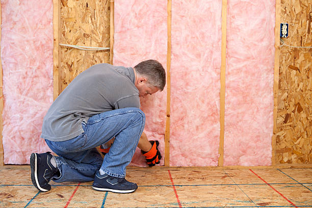 Best Garage Insulation Installation  in Castleton On Hudson, NY