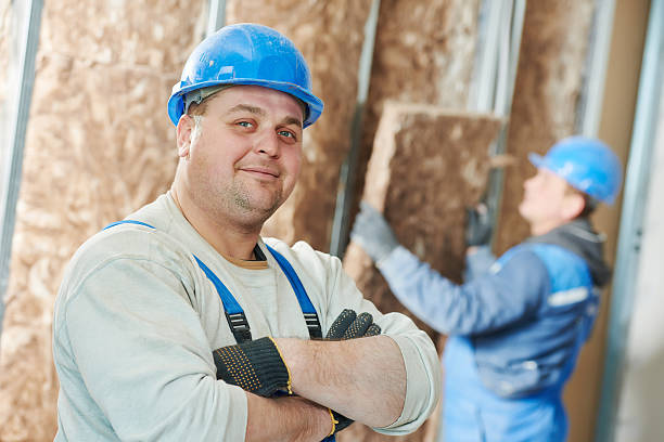 Best Cellulose Insulation  in Castleton On Hudson, NY